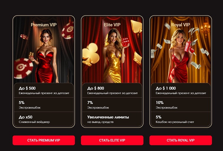 ВИП программа